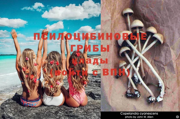 кокаин колумбия Богданович