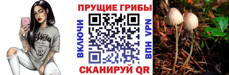 Галлюциногенные грибы ЛСД  Сретенск 